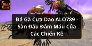 Đá Gà Cựa Dao ALO789 - Sàn Đấu Đẫm Máu Của Các Chiến Kê