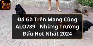 Đá Gà Trên Mạng Cùng ALO789 - Những Trường Đấu Hot Nhất 2024